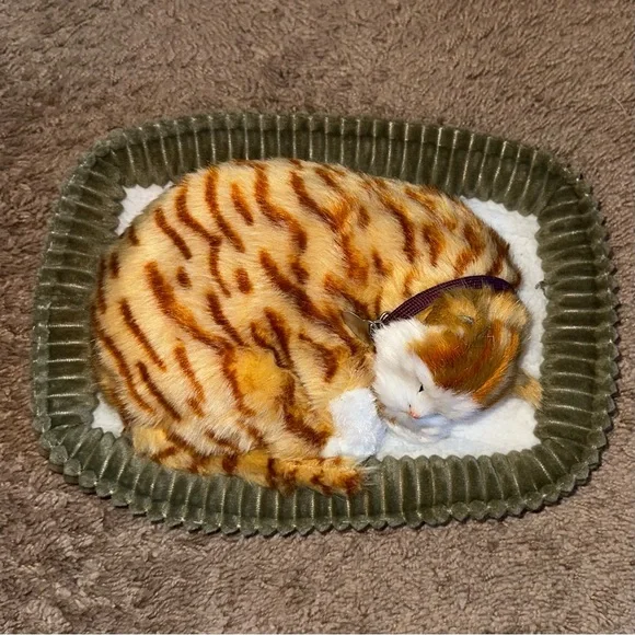 Perfect Petzzz Gray Tabby Cat W/Bed Battery and Adoption Papers - Picture 6 of 11